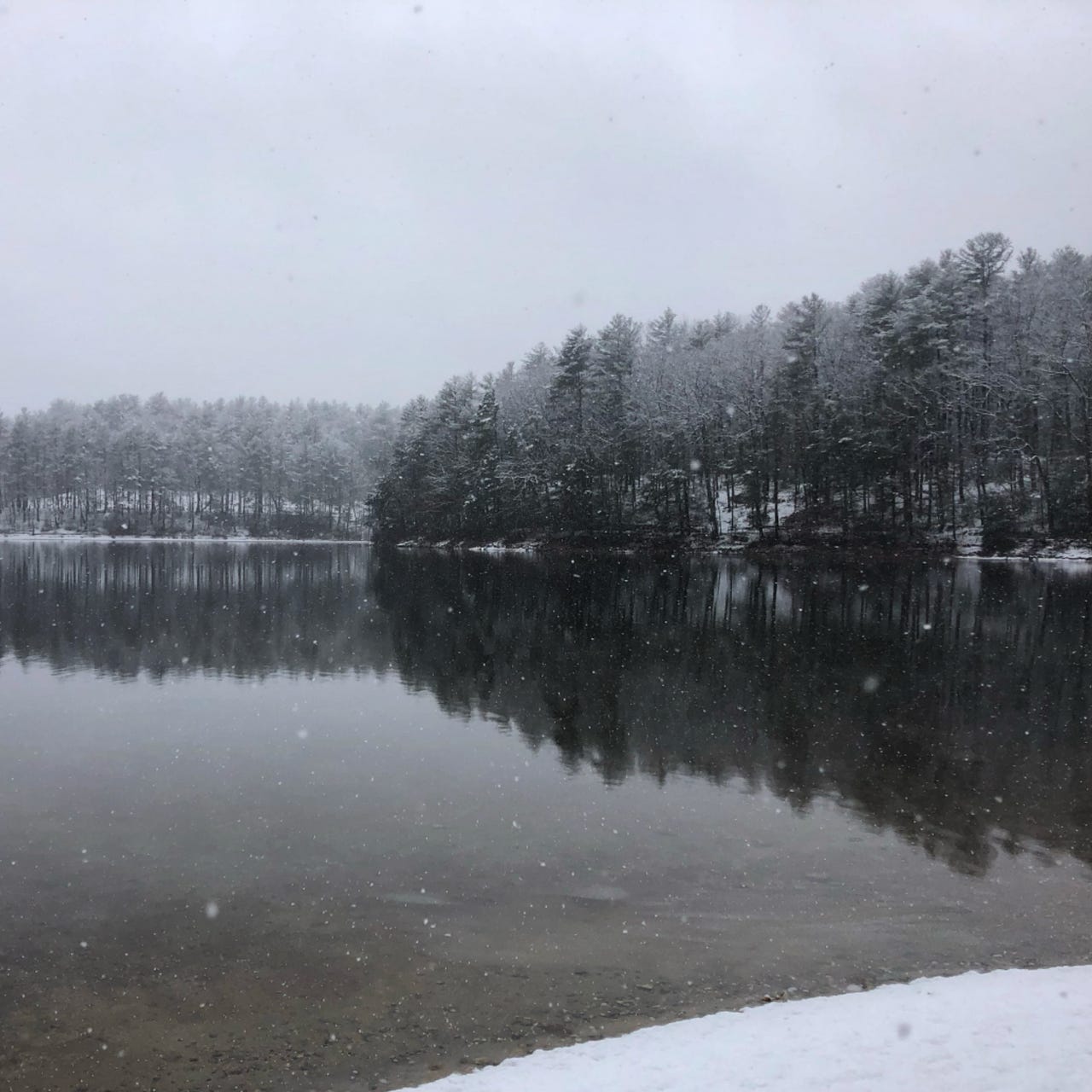 New England Literary News