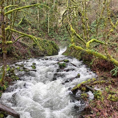 Columbia Gorge Waterfalls