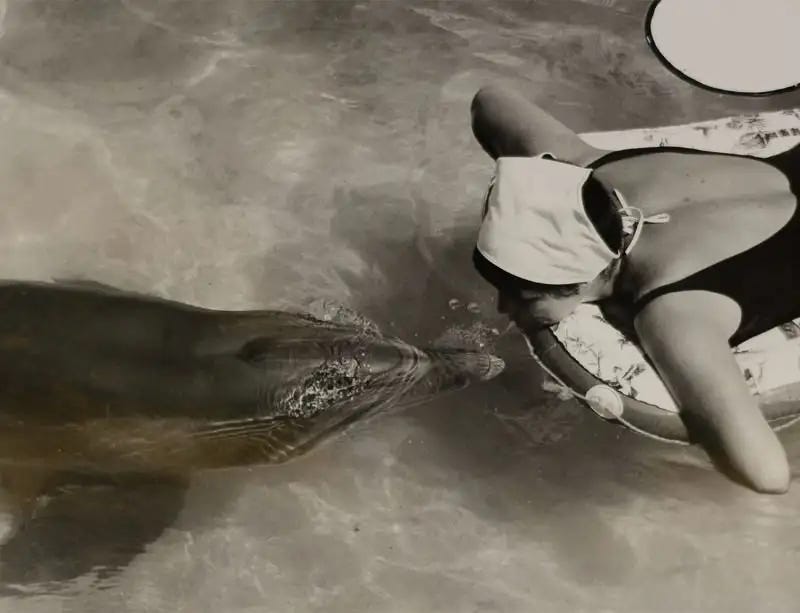 Peter and Margaret at the Dolphin House in St. Thomas, VI Peter and Margaret at the Dolphin House in St. Thomas, VI