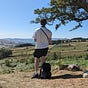 Dids's avatar