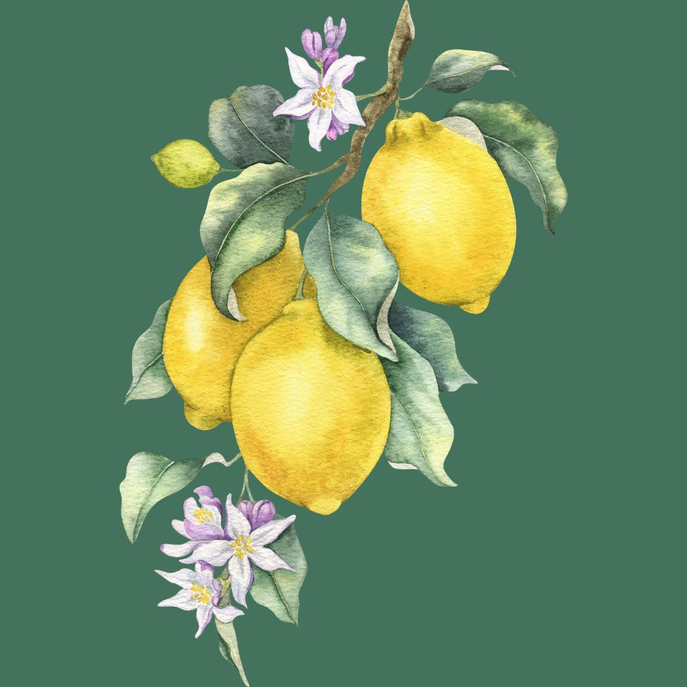 Still Cultivating by Kristin Kirkland, MD, MPH