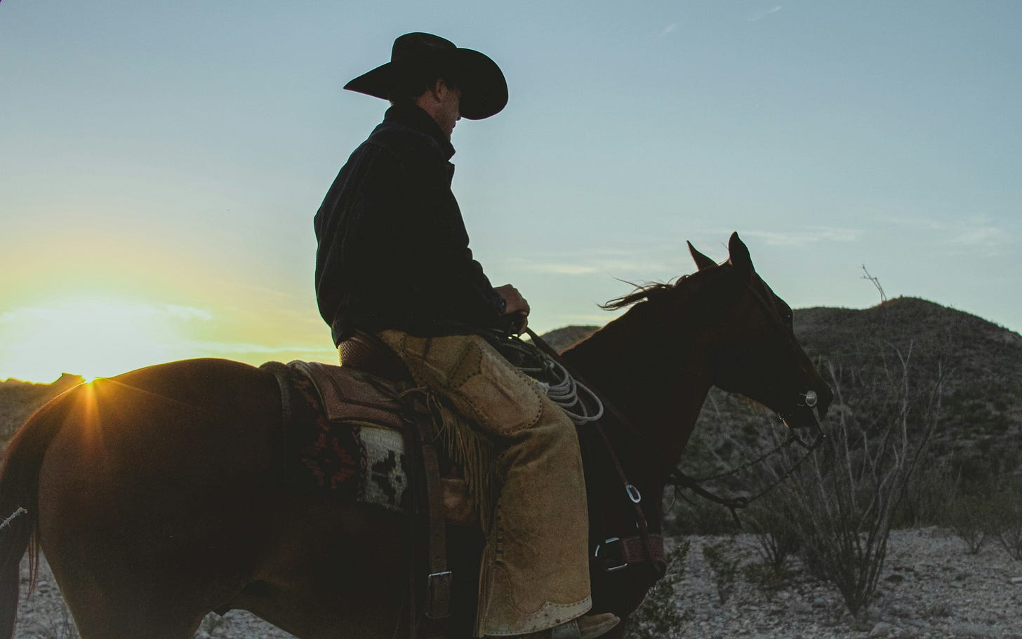 Image of a cowboy on horseback at sunrise or sunset.