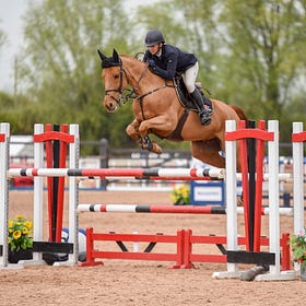 'Stormbird' soars to Meadows win