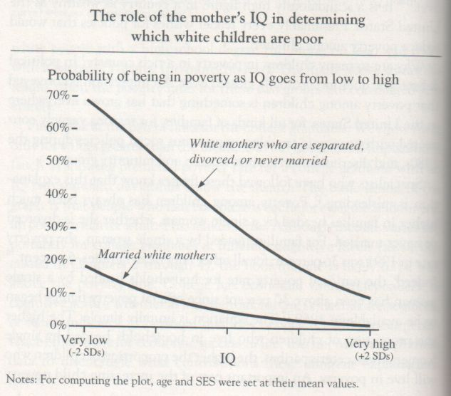 the-bell-curve-1994-herrnstein-and-murray-graph-p-138