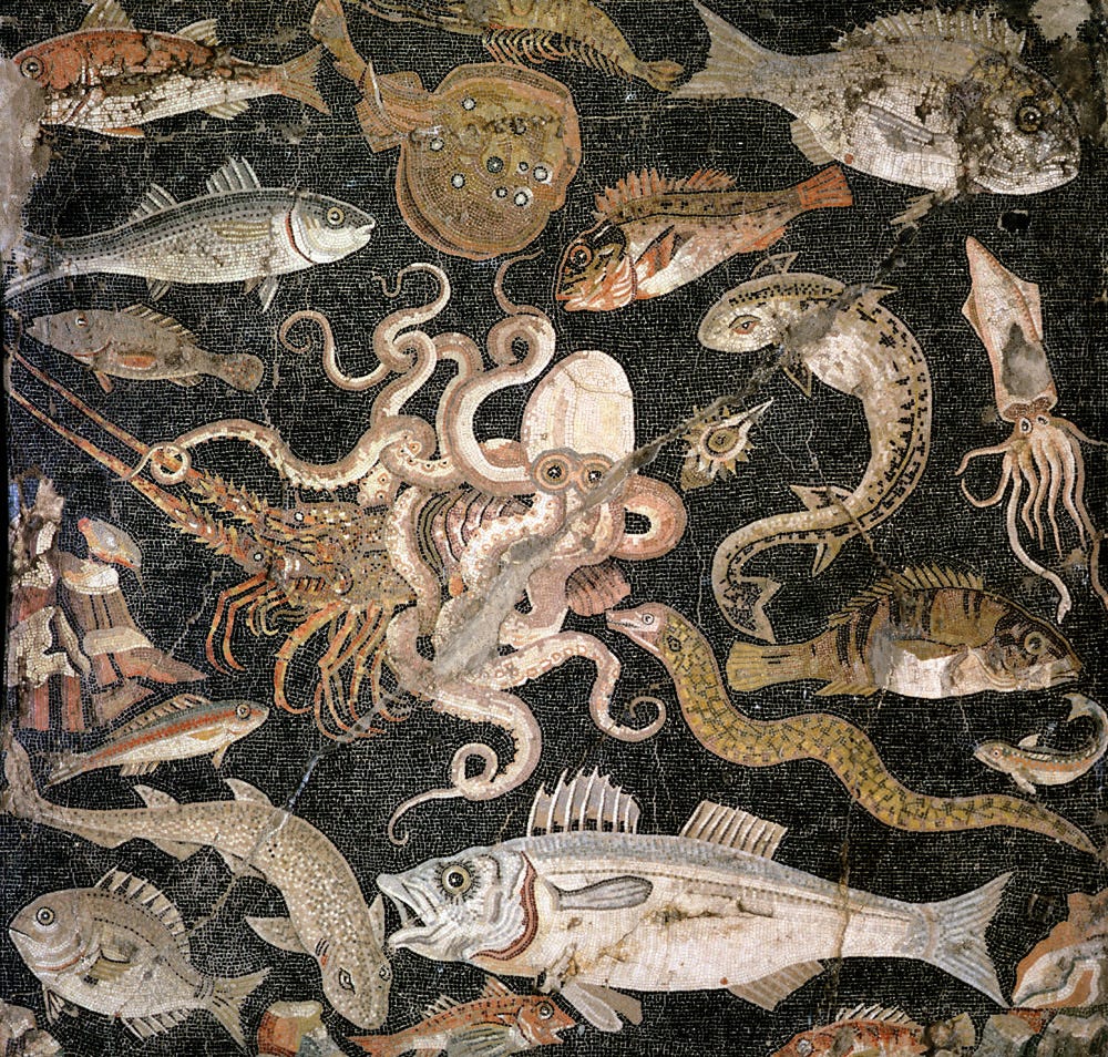 Aquatic life, mosaic, Pompeii, second century BC. Aquatic life, mosaic, Pompeii, second century BC.
