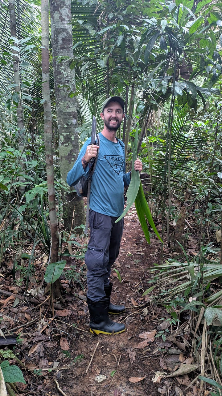Dave cutting some palm leaves for our dinner plates; our hammocks tucked under a palm leaf shelter.