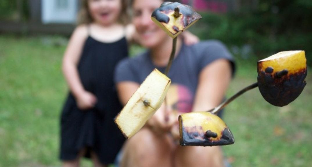 Healthy Camping Guide Healthy Camping Guide