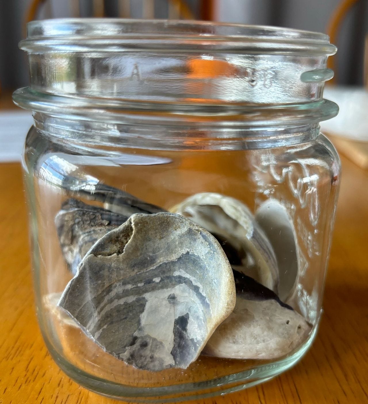 My shell jar--a reminder of the ocean.  My shell jar--a reminder of the ocean.