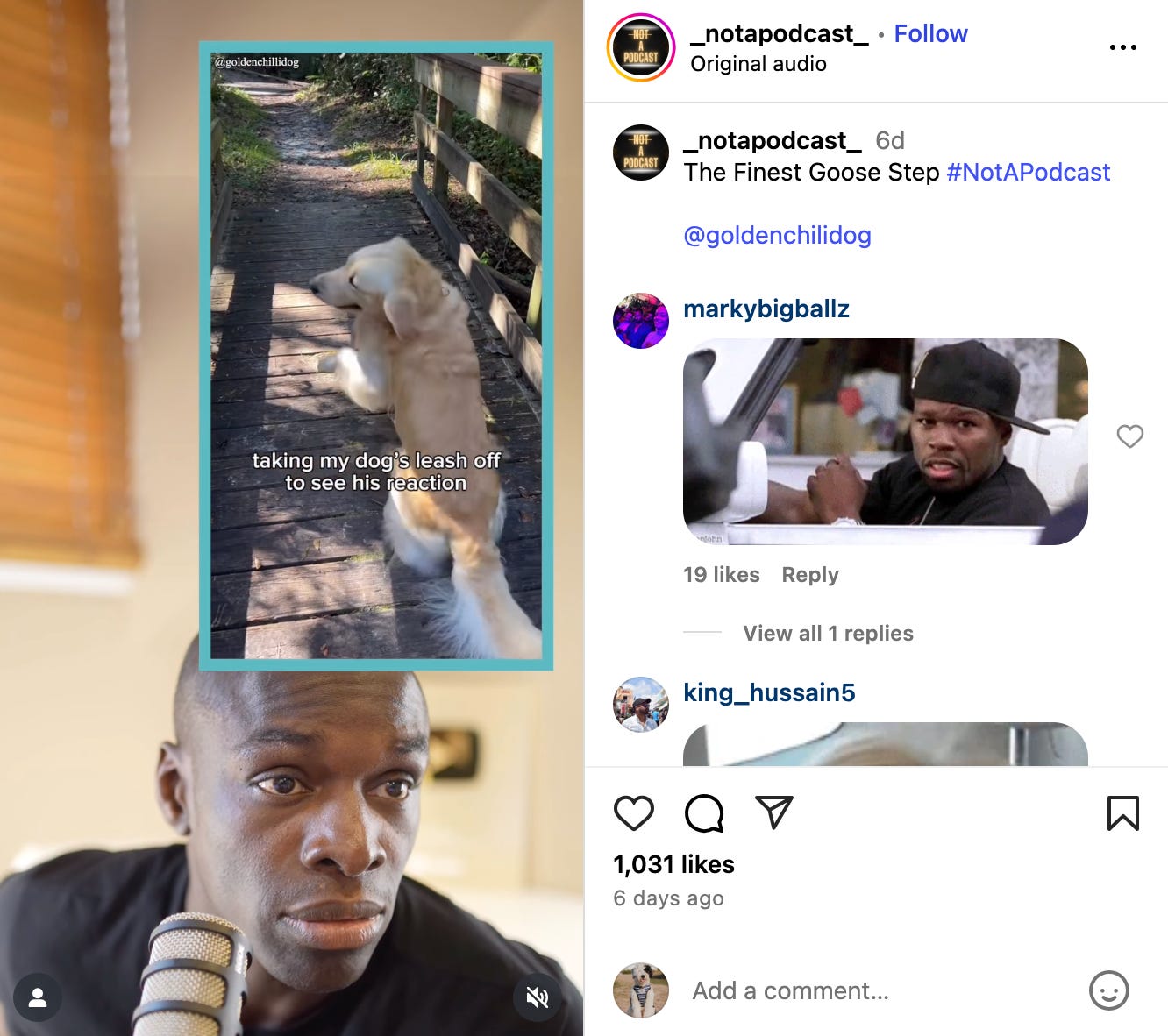 screenshot of _notapodcast post about golden goose stepping