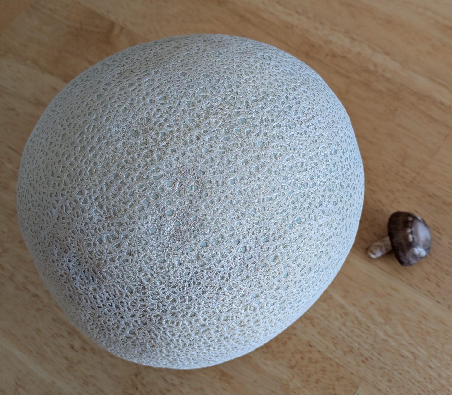 Photo of a large cantaloupe and a small mushroom on a wood background