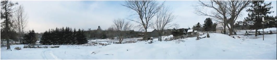 A snow covered field with trees
Description automatically generated A snow covered field with trees
Description automatically generated
