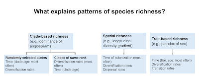 A diagram titled "What explains patterns of species richness?" with several light blue text boxes of explanation below, all on a white background.