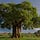 African Prosperity
