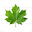 freedomcanada's avatar