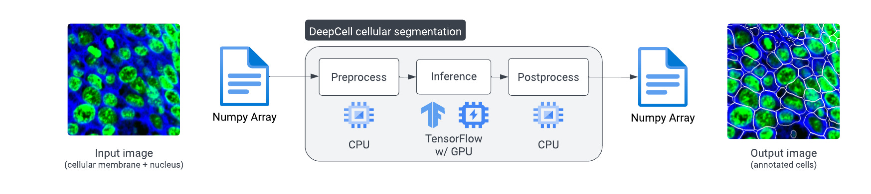 A diagram showing an input image converted to a numpy array, then preprocessed, inferred, and postprocessed, resulting in a segmented image.