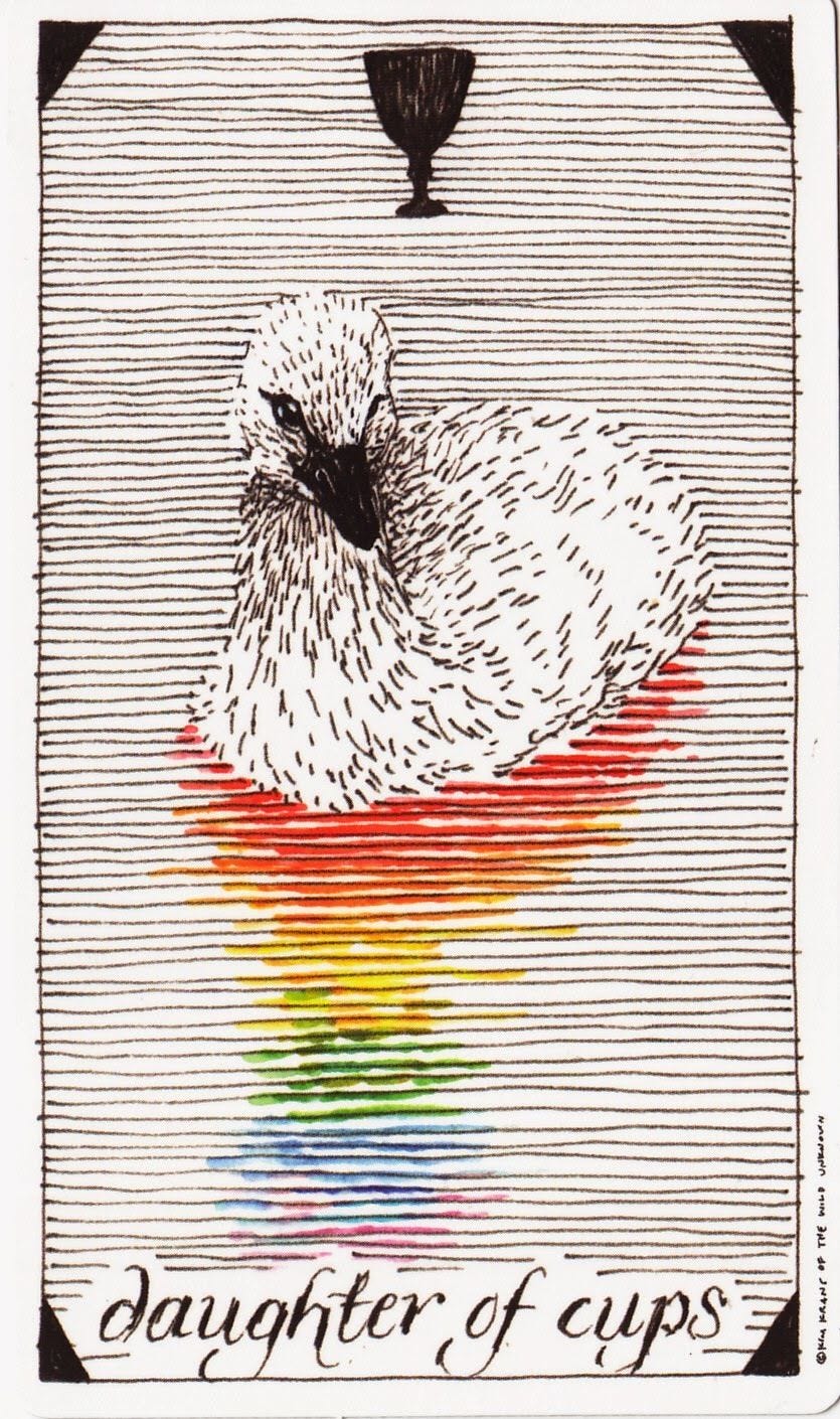 February - Daughter of Cups | Animal tarot, Wild unknown tarot, Tarot decks