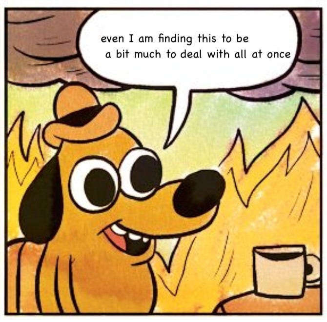 Dog in a Room On Fire meme, but the dog is saying, "Even I am finding this to be a bit much to deal with all at once."