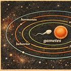 Nothing in the Biology of the Sexes Makes Sense Except in the Light of Gametes: A Response to Mahr