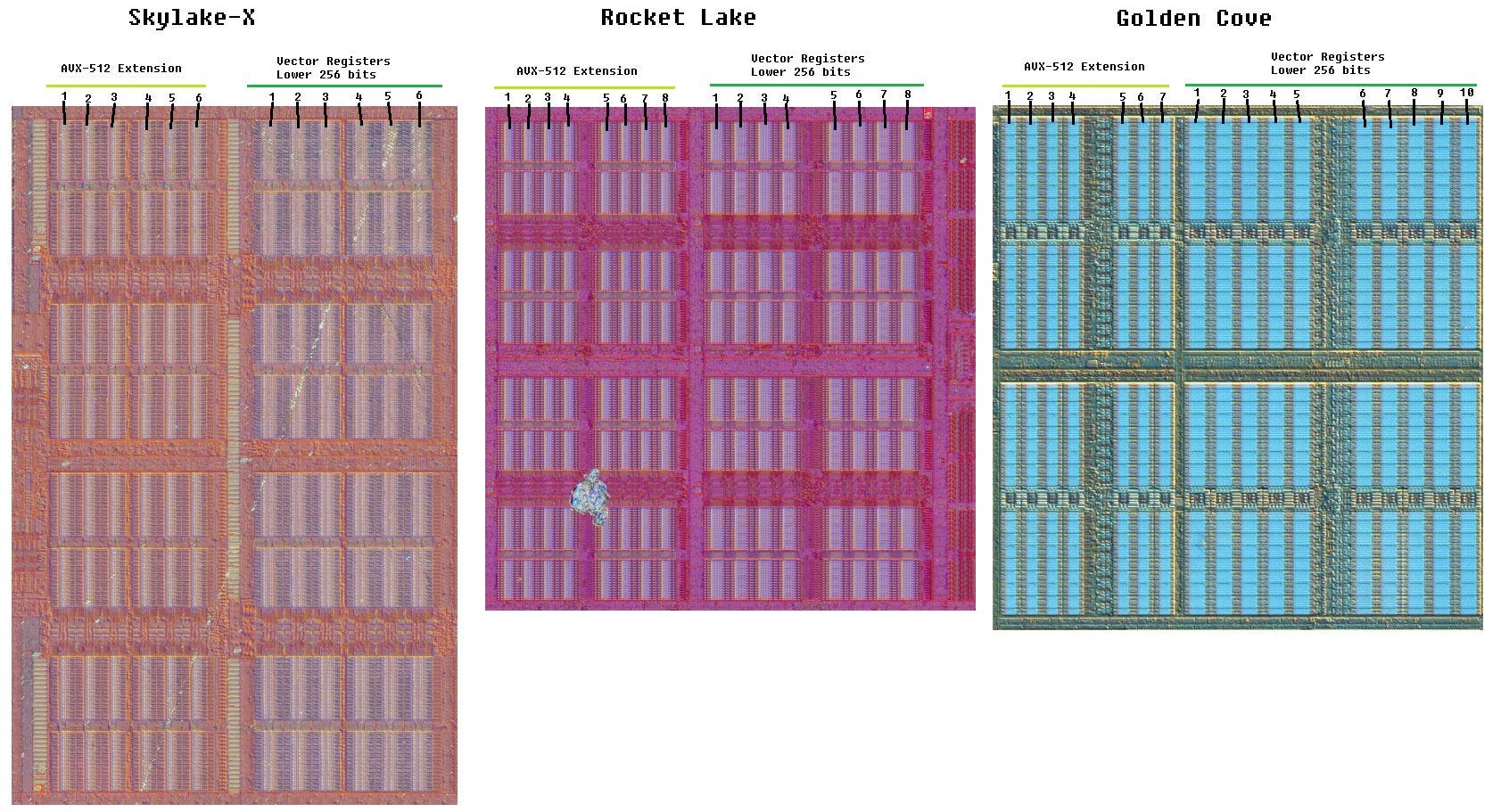 Golden Cove's Lopsided Vector Register File