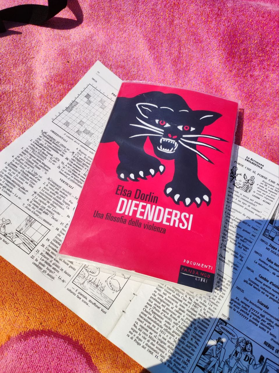 Sopra un telo mare rosa e arancione c'è appoggiata una settimana enigmistica. Sopra di essa c'è un libro con la copertina rossa e una pantera. +è "difendersi" di elsa dorlin