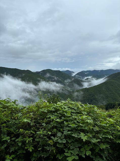 Japan's Kumano Kodo hike