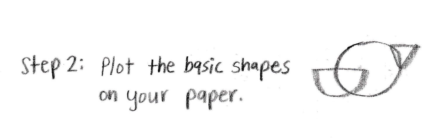 step 2 plot the shapes step 2 plot the shapes