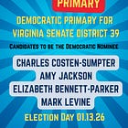 Four candidates file for Ebbin's Senate seat; firehouse primary is Tuesday 