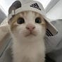 alif's avatar
