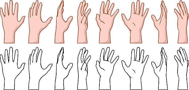 Hand 360 Turn Around Rotation View Stock Illustration - Download Image Now  - Vector, Palm of Hand, Illustration - iStock