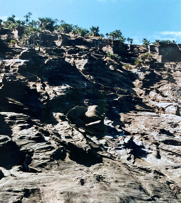 Bare rocky ground on Round Island, with some palm trees visible in the distance and a blue sky above