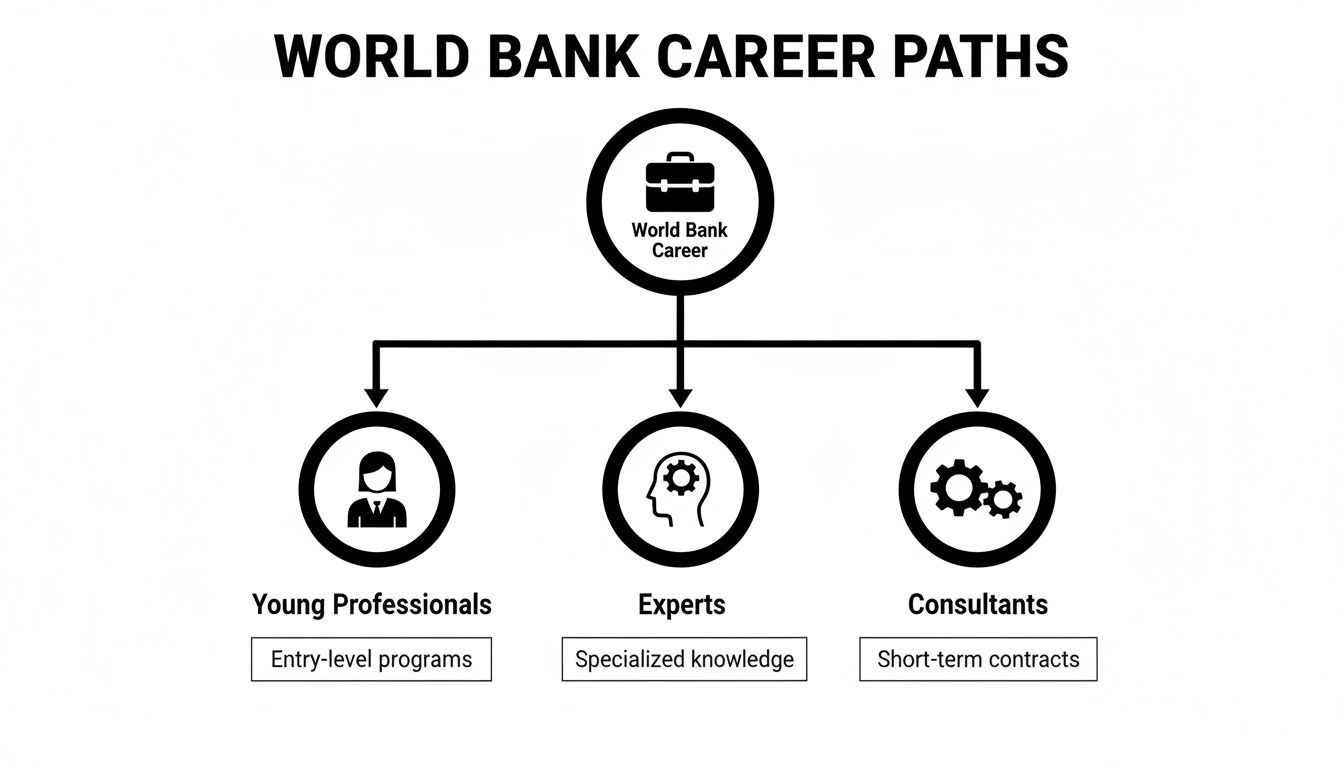 Diagram outlining World Bank career paths, including Young Professionals, Experts, and Consultants, with their descriptions. Diagram outlining World Bank career paths, including Young Professionals, Experts, and Consultants, with their descriptions.