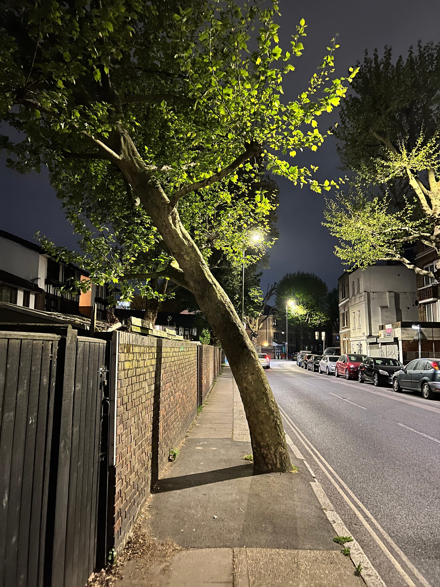 A photo of a leaning tree by a residential road. To one side is a brick wall which bound the back garden of the houses to its left. To the right is a road. I take a photo of this leaning tree every time I walk past it. Today the tree is leaning on a clear summer night. Its branches are full of green leaves. The pavement is clean and there is no traffic.