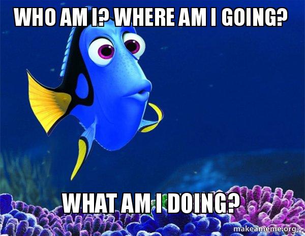 Who Am I? Where Am I Going? What Am I Doing? - Dory from Nemo (5 second memory) Meme Generator Who Am I? Where Am I Going? What Am I Doing? - Dory from Nemo (5 second memory) Meme Generator