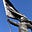 ExpectBetter's avatar