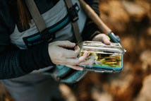 artificial-lures