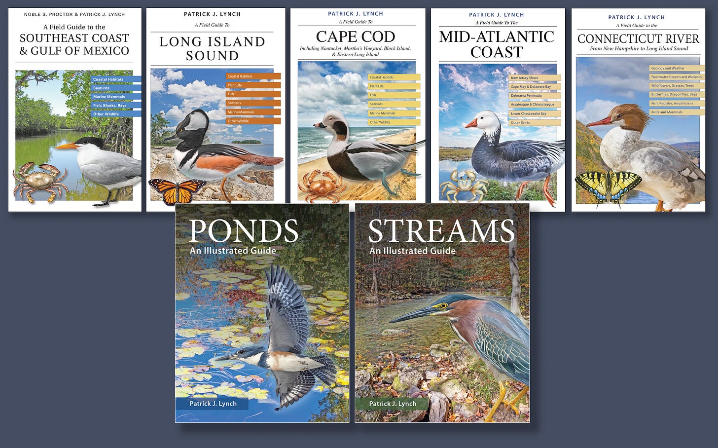 The Atlantic Menhaden: Why Marine Scientists Call It “The Most ...