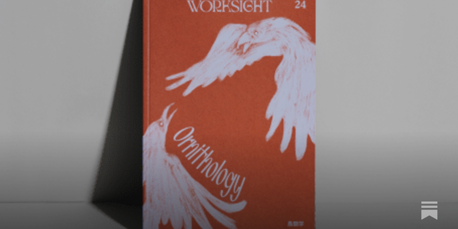 鳥類学 世界のなかの異世界：WORKSIGHTプリント版・24号「鳥類学