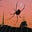 Black Widow's avatar