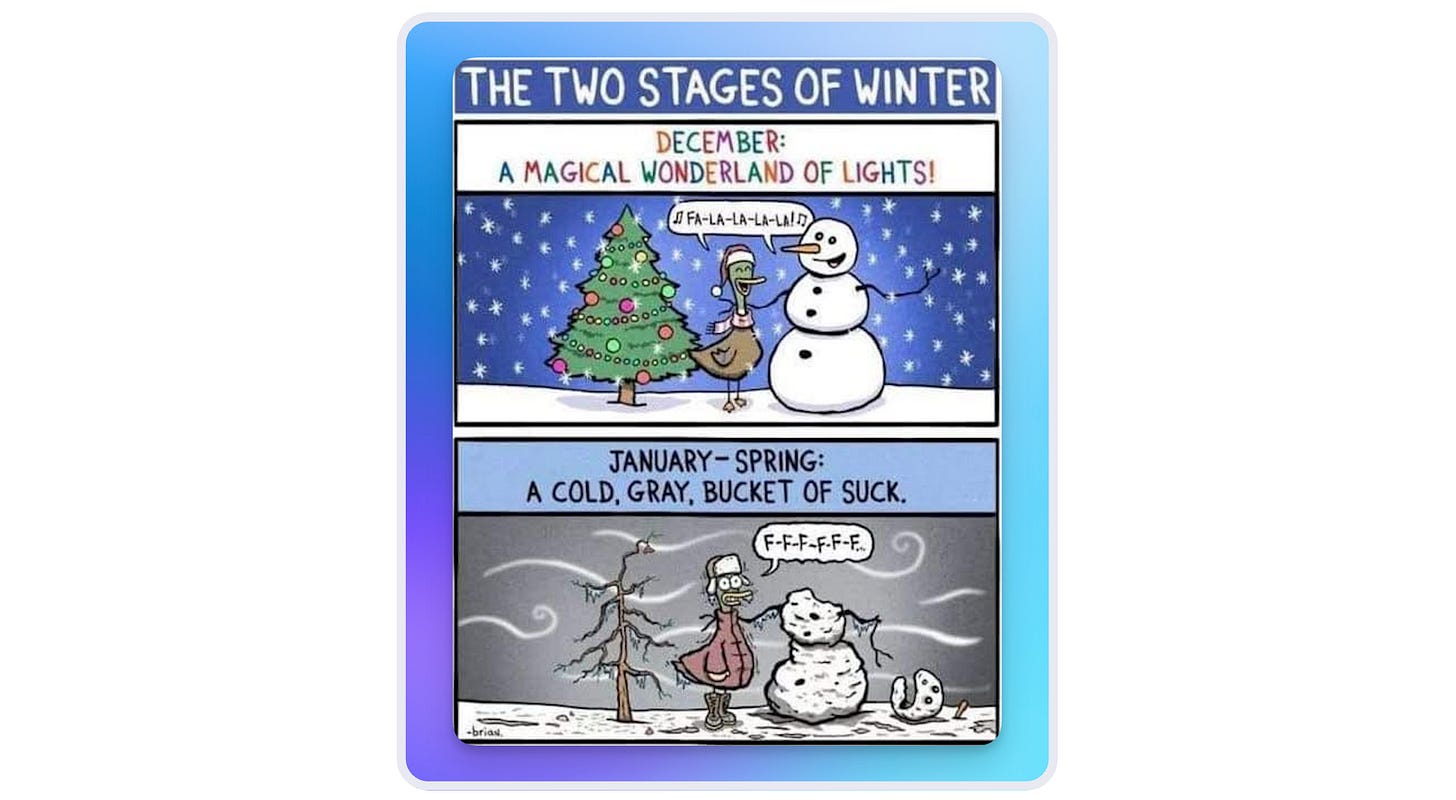  Two-panel comic titled "The Two Stages of Winter" showing December as a magical wonderland with decorated tree and cheerful snowman, contrasted with January-Spring as a cold, gray, miserable scene with bare tree and melting snowman