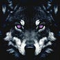 Only Wolf's avatar