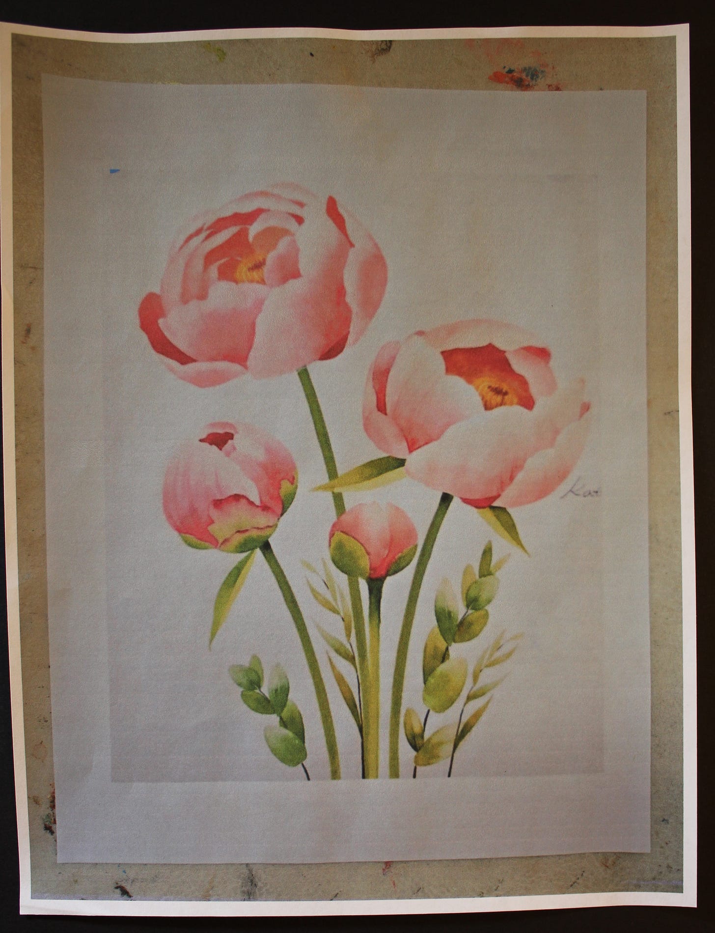 Reference image of pink peony flowers with green leaves, used for watercolor floral painting study.