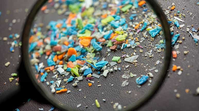 microplastics liver mitochondria damage