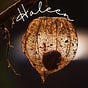 Haleen Music's avatar