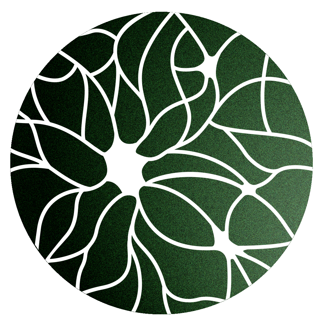 Substack profile picture for @explored