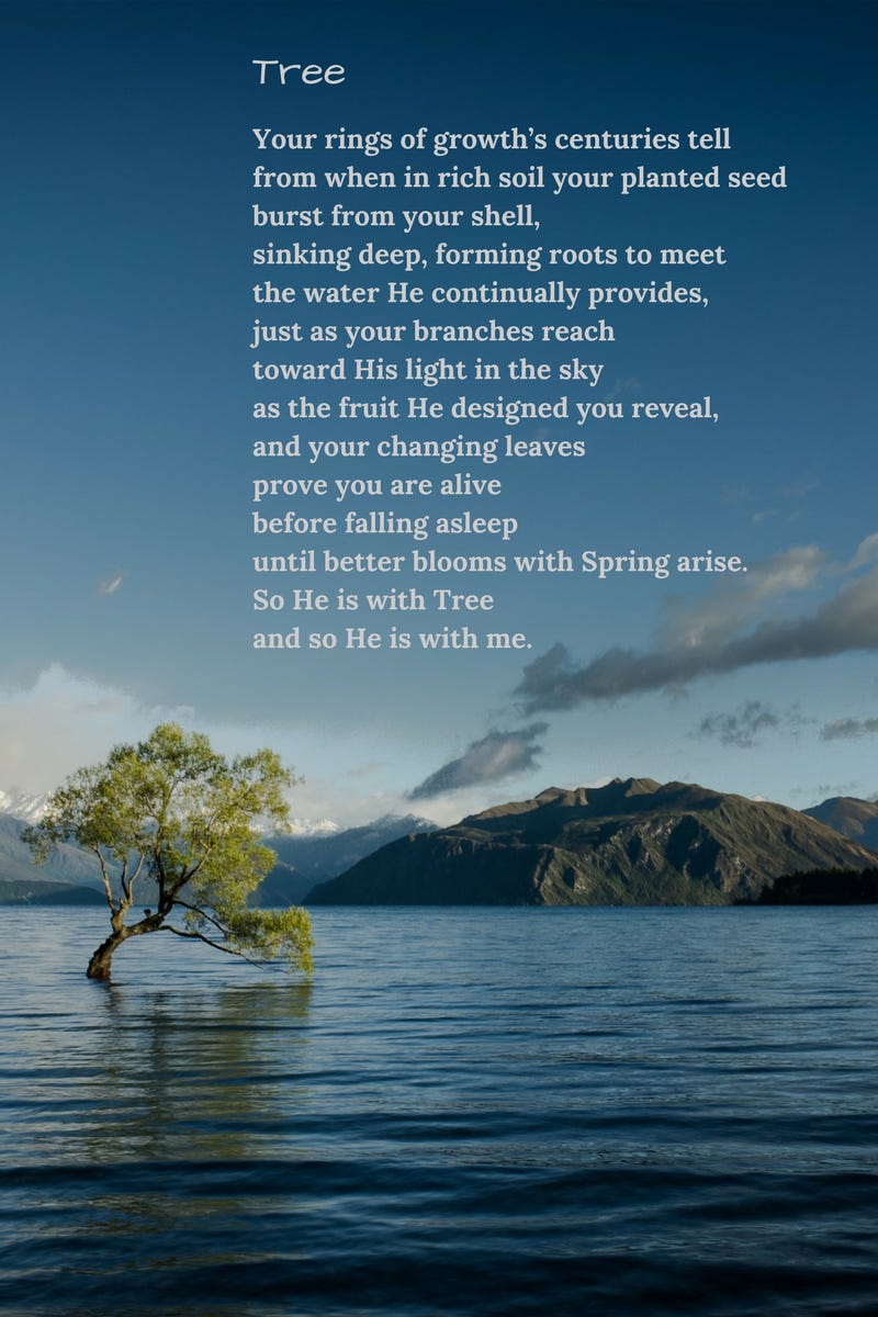 tree