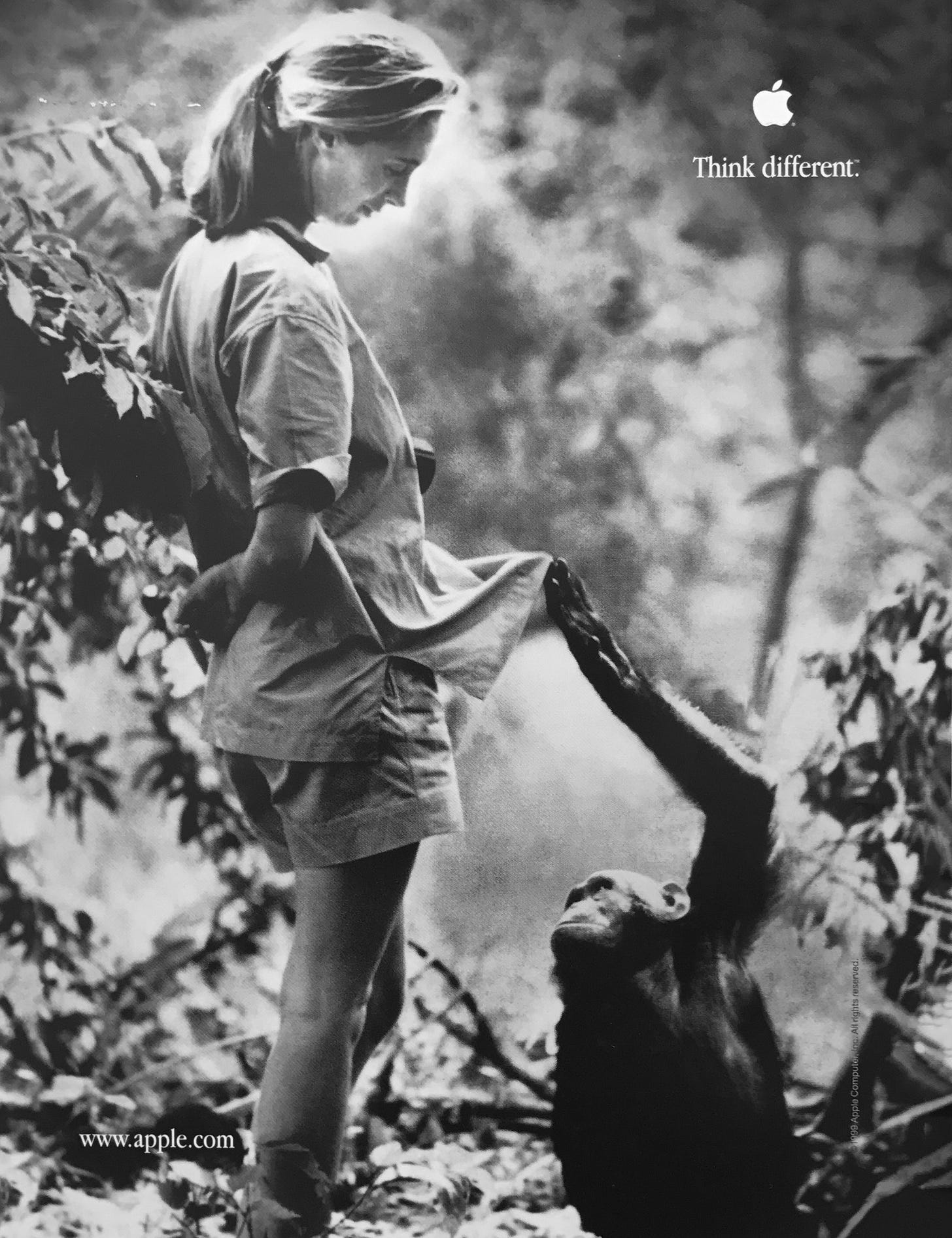 Jane Goodall and Apple's 