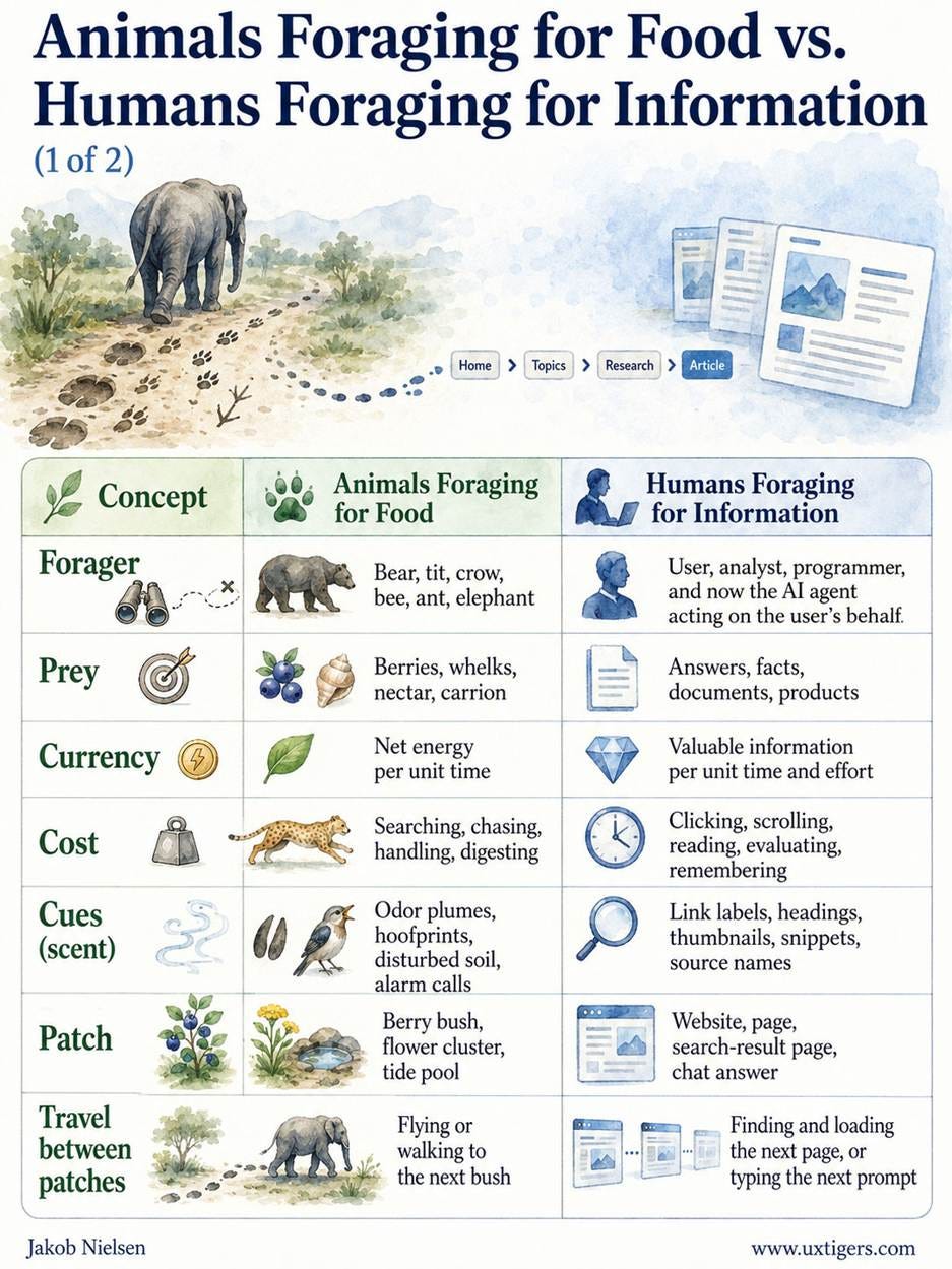 Animals Foraging for Food vs. Humans Foraging for Information Concept Animals Foraging for Food Humans Foraging for Information Forager Bear, tit, crow, bee, ant, elephant User, analyst, programmer, and now the AI agent acting on the user’s behalf Prey Berries, whelks, nectar, carrion Answers, facts, documents, products Currency Net energy per unit time Valuable information per unit time and effort Cost Searching, chasing, handling, digesting Clicking, scrolling, reading, evaluating, remembering Cues (scent) Odor plumes, hoofprints, disturbed soil, alarm calls Link labels, headings, thumbnails, snippets, source names Patch Berry bush, flower cluster, tide pool Website, page, search-result page, chat answer Travel between patches Flying or walking to the next bush Finding and loading the next page, or typing the next prompt Handling time Cracking the whelk, chewing the leaf Reading, parsing jargon, waiting for the page Diet rule Eat the profitable prey; skip the rest when good prey is common Consume high-value sources; skip mediocre ones when good ones are plentiful Giving-up rule Leave when the patch yields less than the environment’s average Leave when the page yields less than the next search would Enrichment Beavers building ponds, ants farming fungus, squirrels caching acorns Bookmarks, tags, notes, folders, and saved prompts Social foraging Waggle dance, pheromone trail, information center at the roost Shared links, teammates’ trails, reviews, social tags Dangers Poison, predators, fire Misinformation, scams, malware, dead links Novel pollution Plastic that smells like krill, asphalt that shines like water AI slop that reads like expertise, fake reviews that sound like customers Animals Foraging for Food vs. Humans Foraging for Information Concept Animals Foraging for Food Humans Foraging for Information Forager Bear, tit, crow, bee, ant, elephant User, analyst, programmer, and now the AI agent acting on the user’s behalf Prey Berries, whelks, nectar, carrion Answers, facts, documents, products Currency Net energy per unit time Valuable information per unit time and effort Cost Searching, chasing, handling, digesting Clicking, scrolling, reading, evaluating, remembering Cues (scent) Odor plumes, hoofprints, disturbed soil, alarm calls Link labels, headings, thumbnails, snippets, source names Patch Berry bush, flower cluster, tide pool Website, page, search-result page, chat answer Travel between patches Flying or walking to the next bush Finding and loading the next page, or typing the next prompt Handling time Cracking the whelk, chewing the leaf Reading, parsing jargon, waiting for the page Diet rule Eat the profitable prey; skip the rest when good prey is common Consume high-value sources; skip mediocre ones when good ones are plentiful Giving-up rule Leave when the patch yields less than the environment’s average Leave when the page yields less than the next search would Enrichment Beavers building ponds, ants farming fungus, squirrels caching acorns Bookmarks, tags, notes, folders, and saved prompts Social foraging Waggle dance, pheromone trail, information center at the roost Shared links, teammates’ trails, reviews, social tags Dangers Poison, predators, fire Misinformation, scams, malware, dead links Novel pollution Plastic that smells like krill, asphalt that shines like water AI slop that reads like expertise, fake reviews that sound like customers