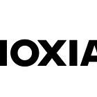 Japan’s Semiconductor Star Kioxia Holdings (TSE:285A) Needs a Dividend