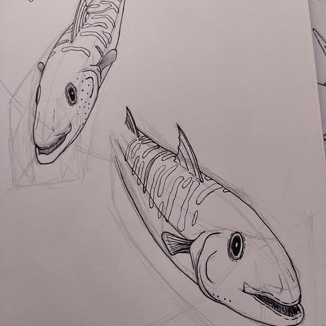 sketches of a shark and fish