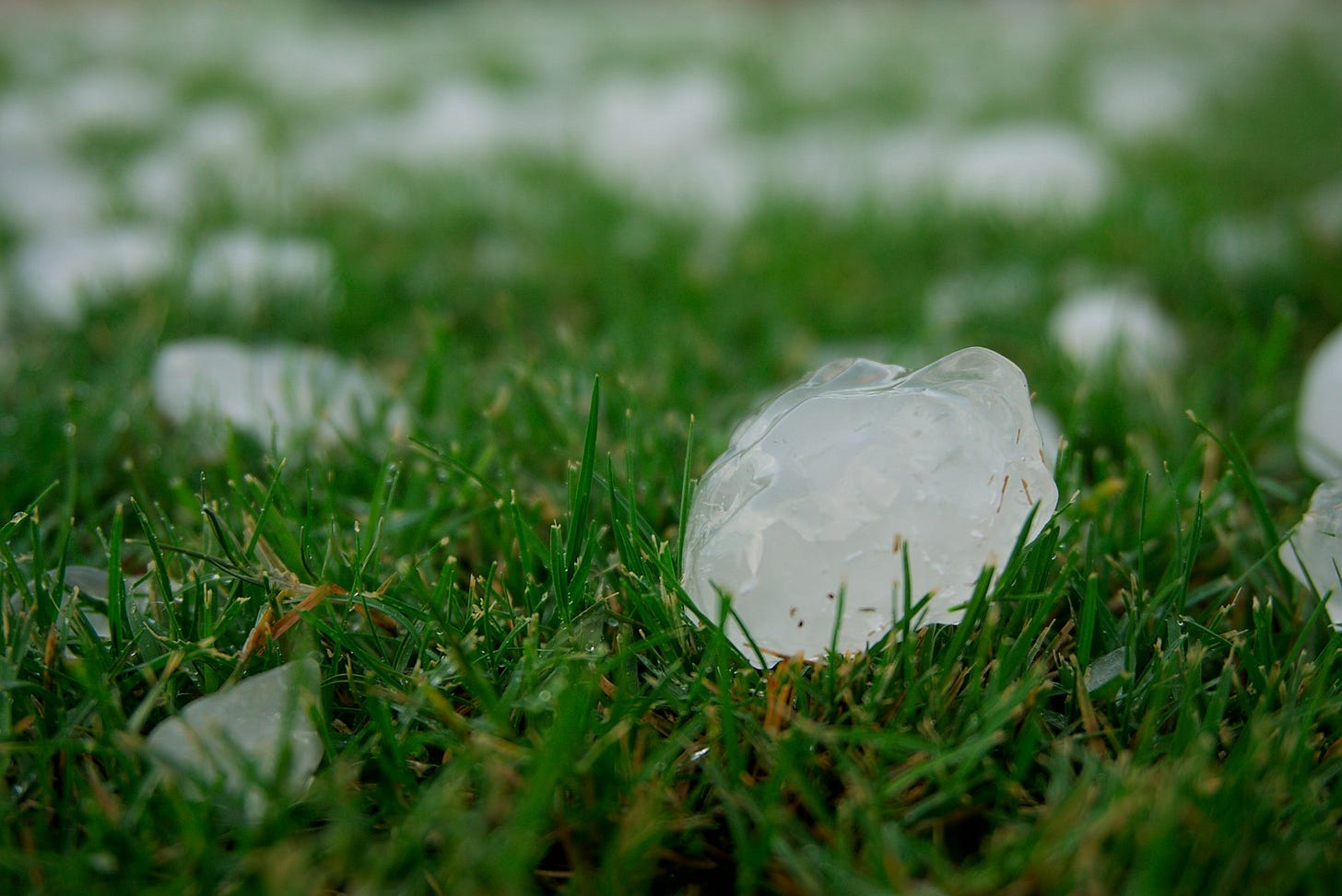 a group of hail stones sitting on top of a lush green field a group of hail stones sitting on top of a lush green field